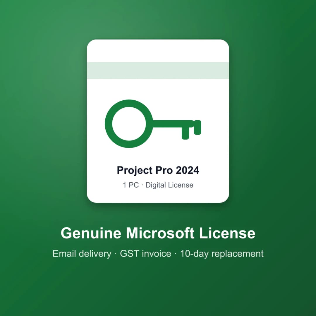 Project Pro 2024 for 1 PC digital license key